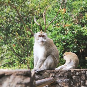 voyage vacance visite île maurice pluie musée zoo découverte culture hôtel