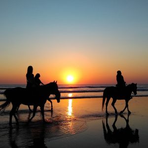 balade cheval sur la plage riambel morne coucher du soleil