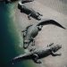 réservation billet vanille nature park crocodile tortue zoo île maurice pas cher vacances
